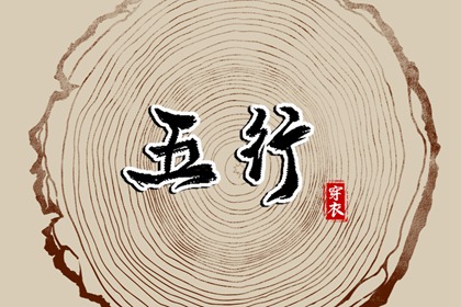 排紫微斗数命盘,查命盘紫微斗数,紫微运势曲线算命,姓名命盘,分析命盘
